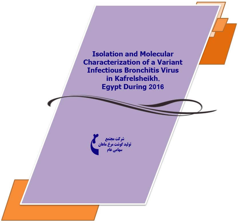 Isolation and Molecular Characterization of a Variant Infectious Bronchitis Virus in Kafrelsheikh, Egypt During 2016