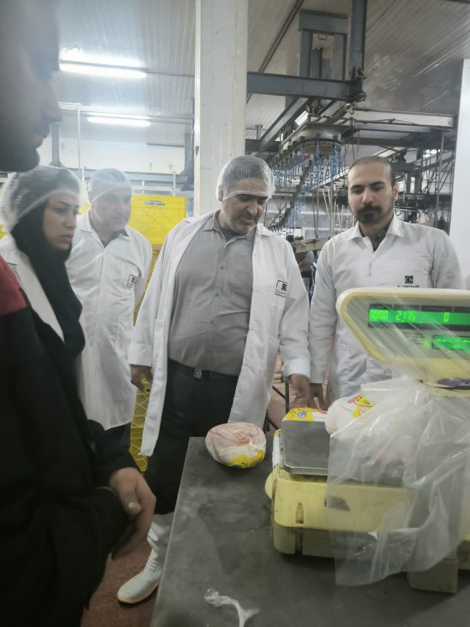 بازدید رئیس جهاد کشاورزی استان مازندران از کشتارگاه مرغ ماهان